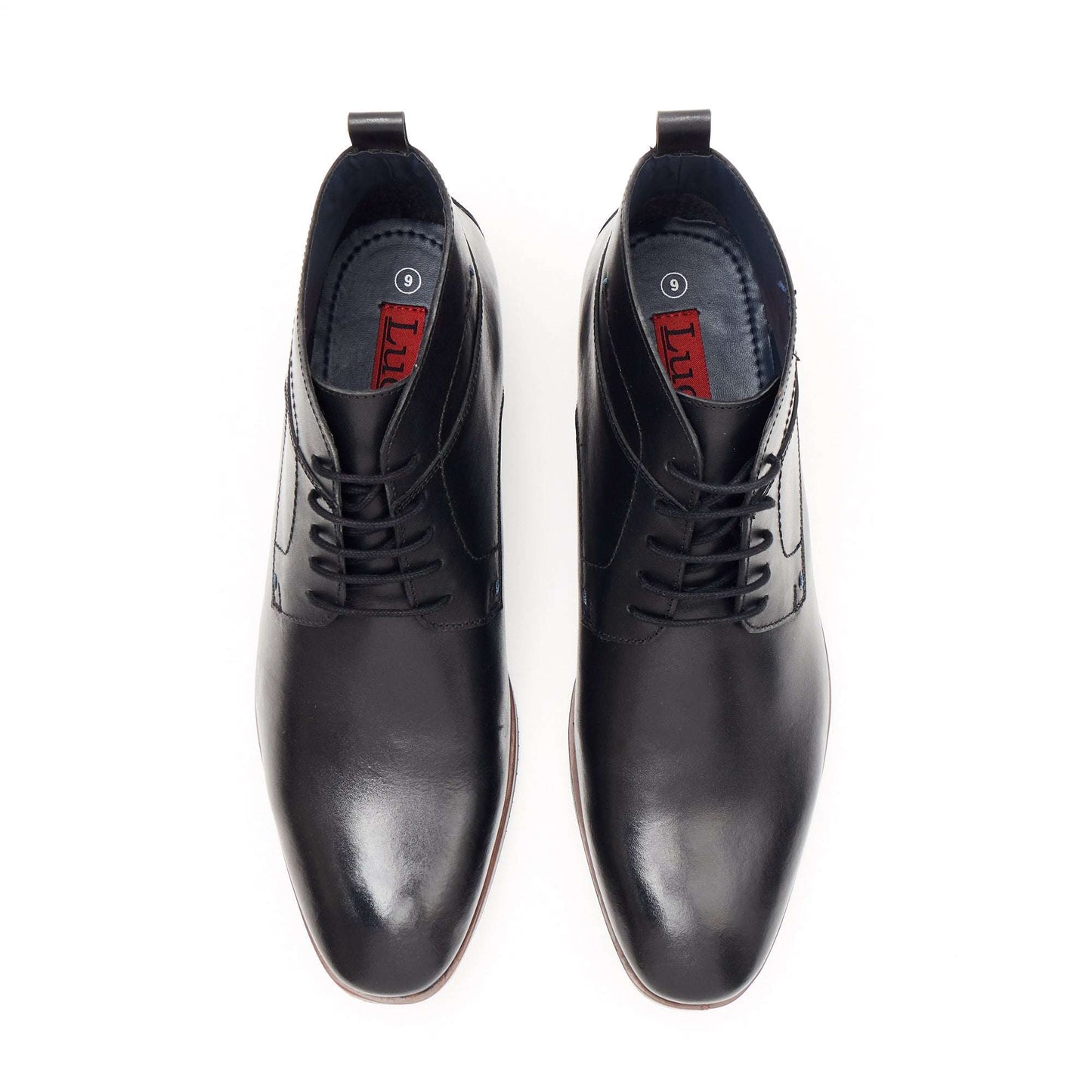 Lucini 24716 Black