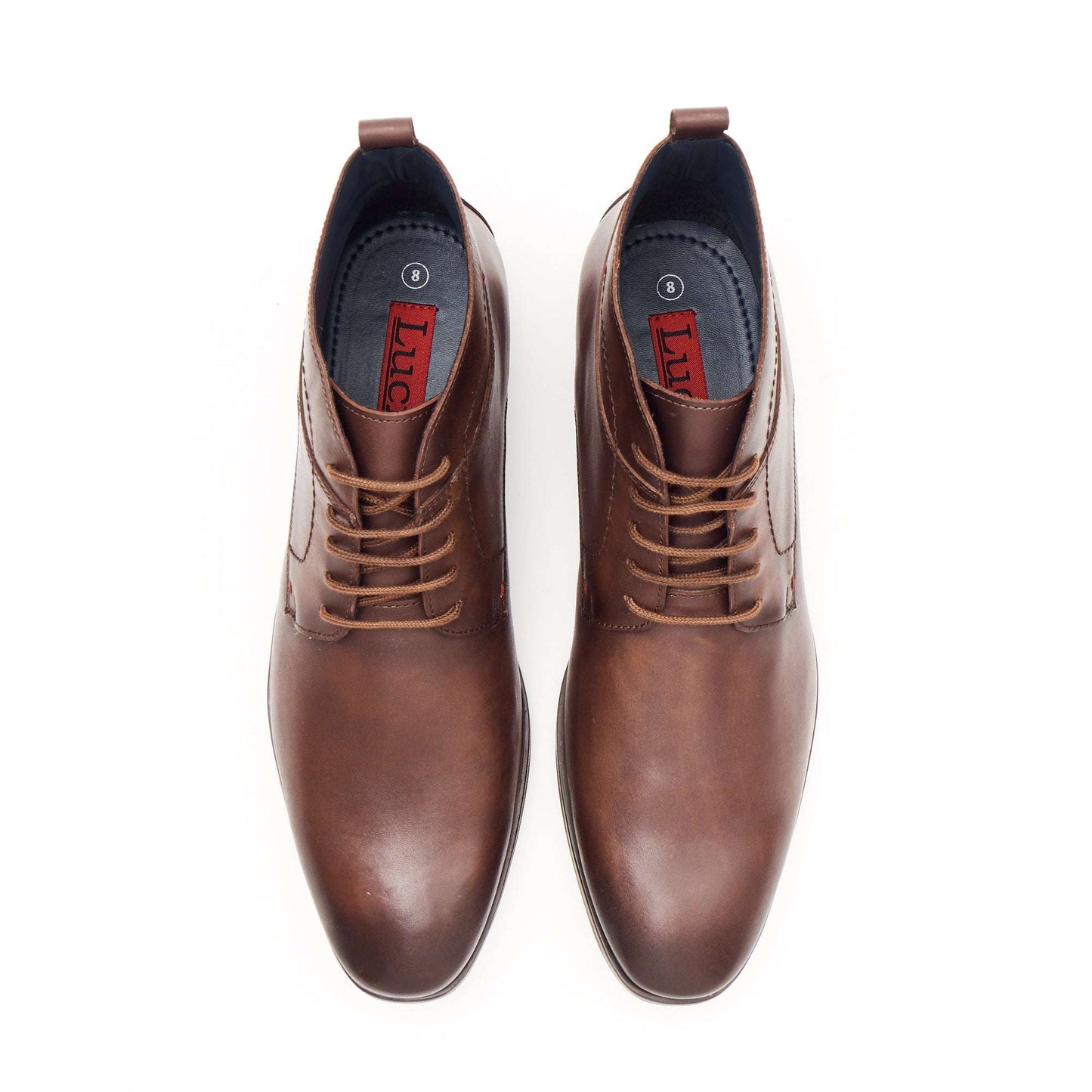 Lucini 24716 Brown