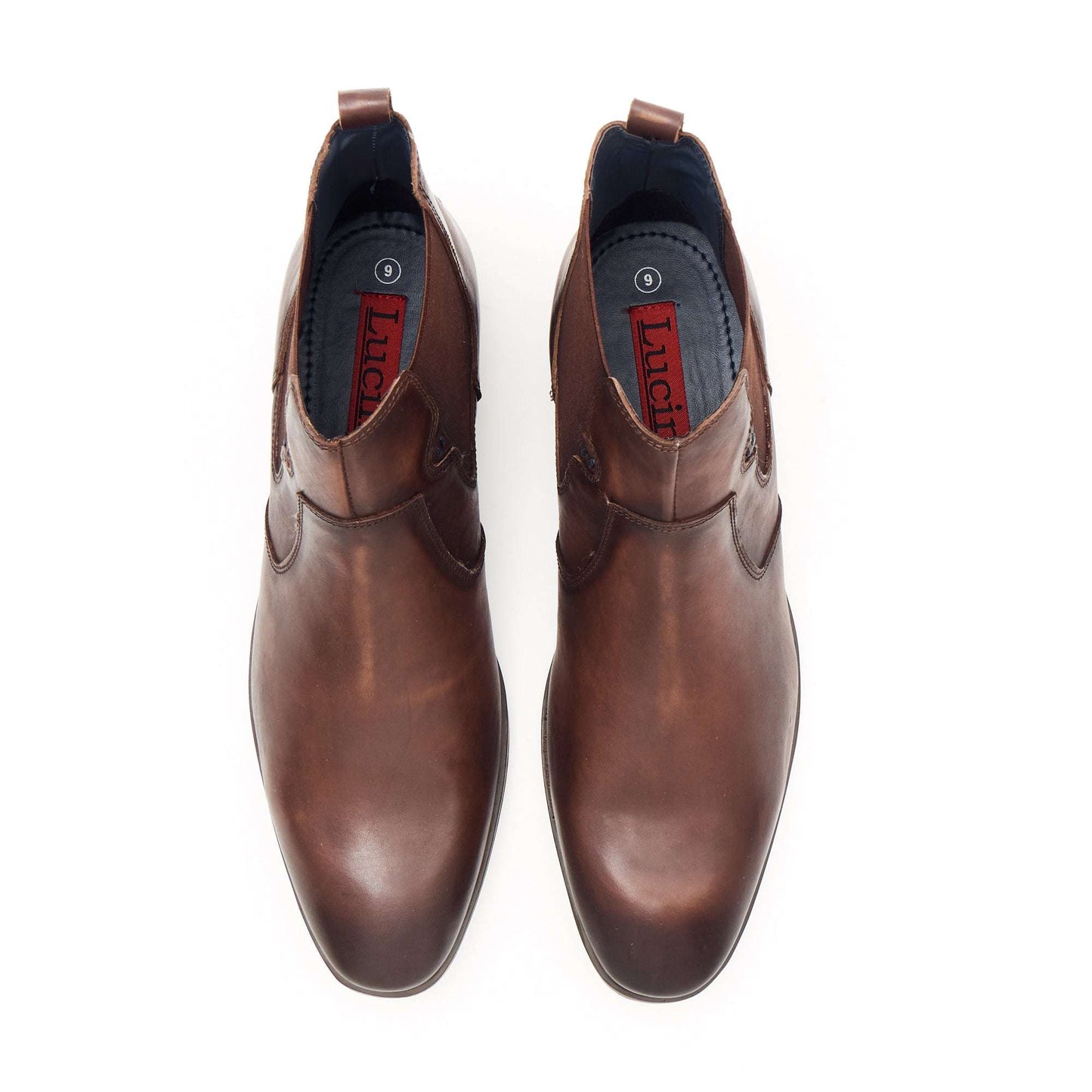 Lucini 24718 Brown