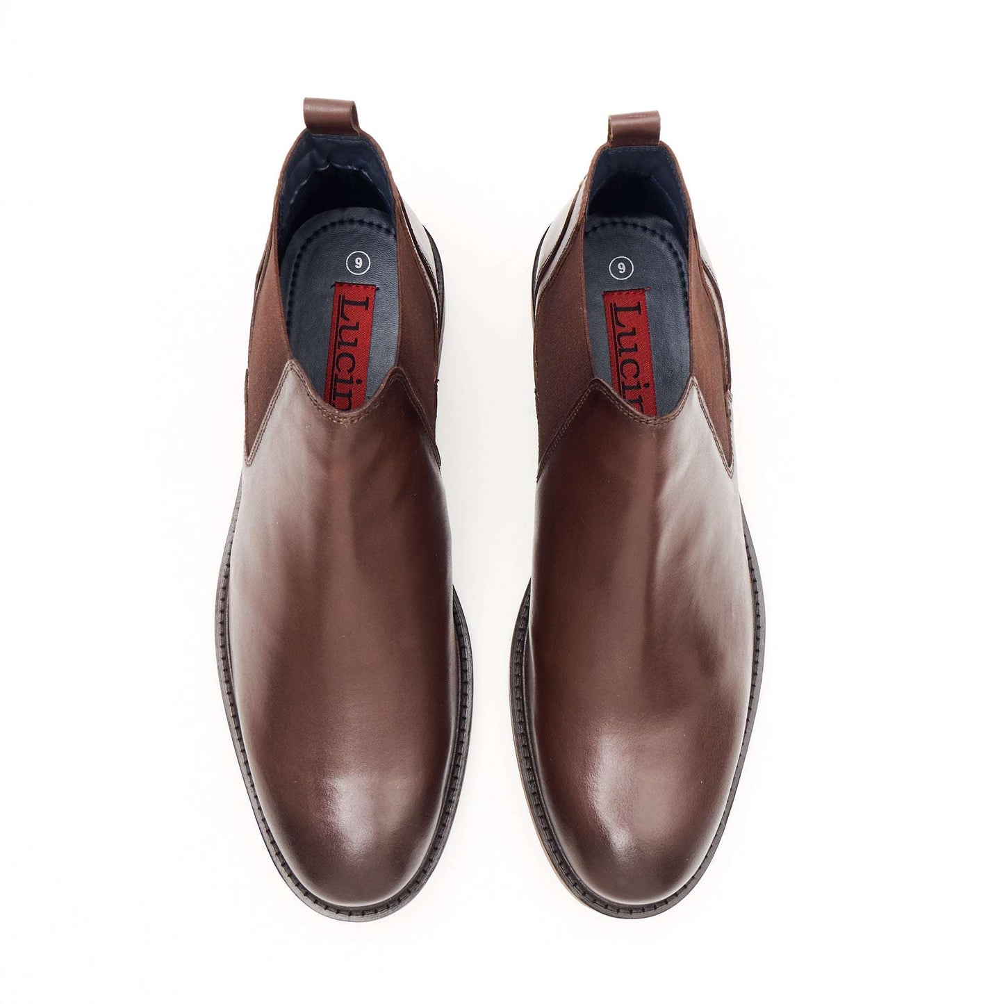 Lucini 26404 Brown