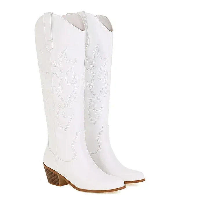 Pointed Toe Knight Boots for Women