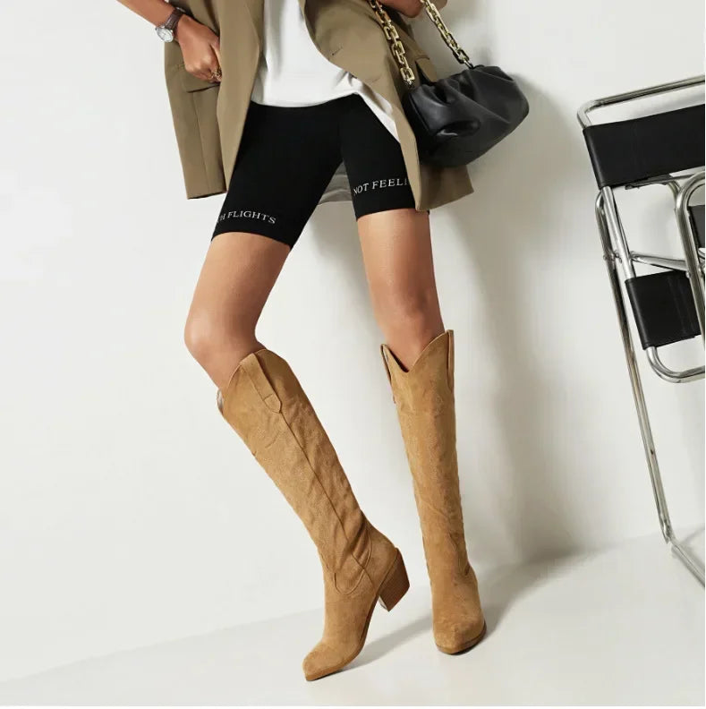 Pointed Toe Knight Boots for Women